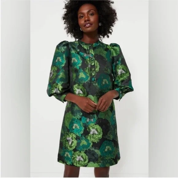 NEW Pomander Place Tuckernuck green floral jacquard Samantha dress puff sleeves - Picture 2 of 13